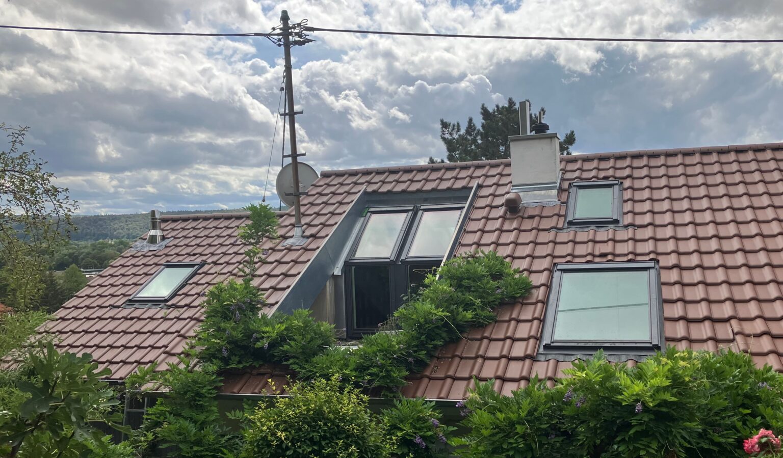 bildvomhaus